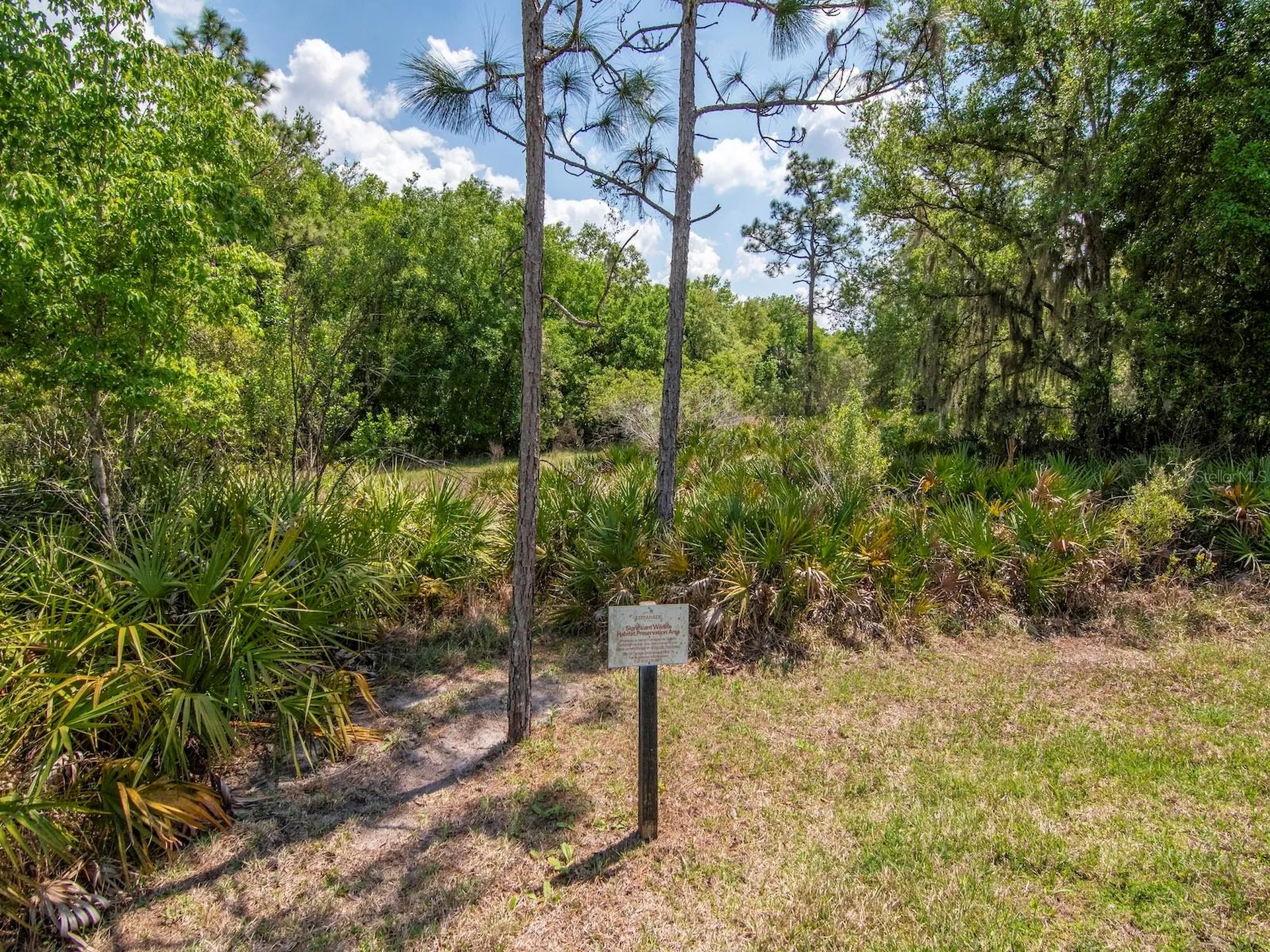 20003 Umbria Hill Drive Tampa FL 33647
