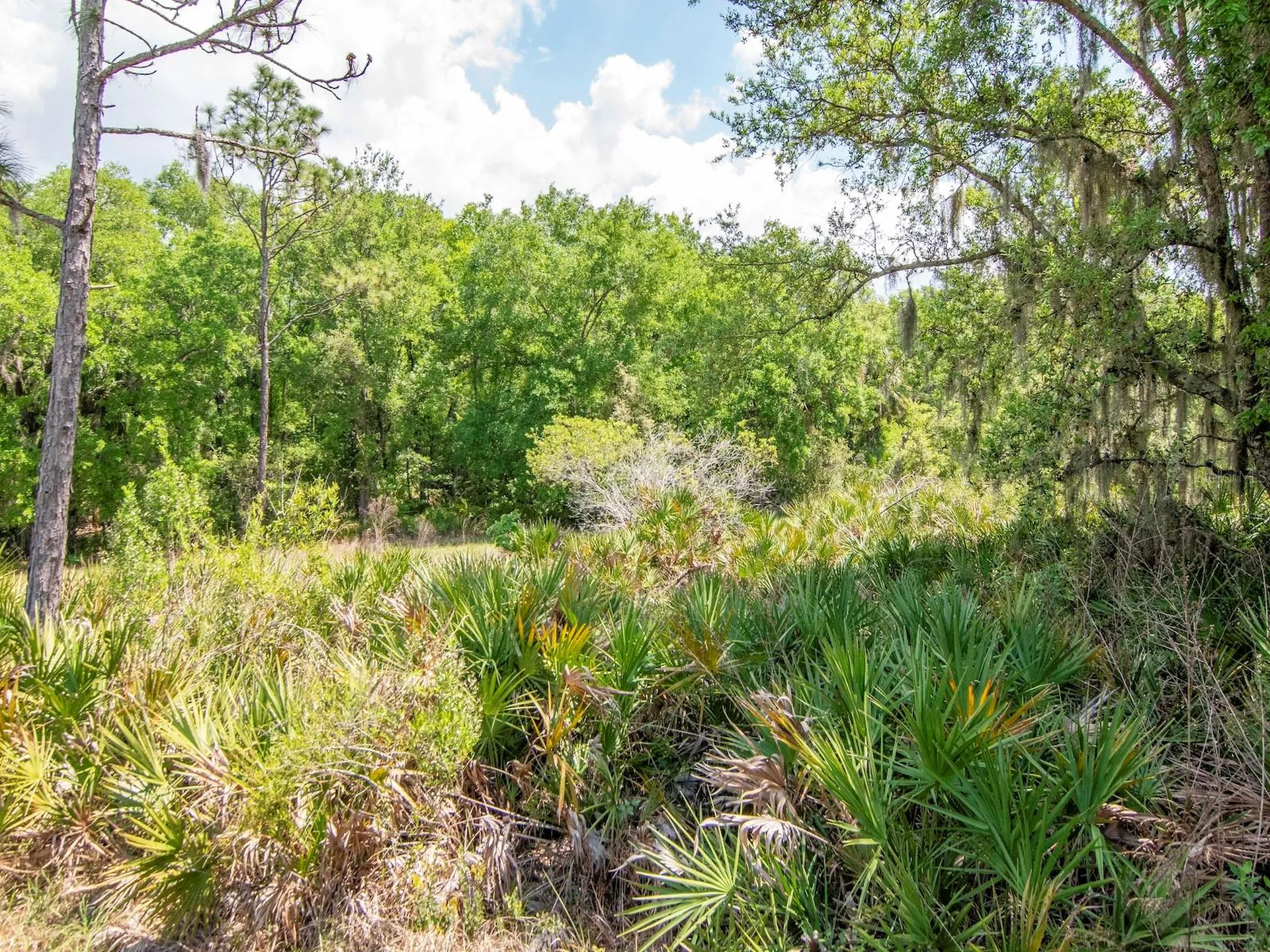 20003 Umbria Hill Drive Tampa FL 33647