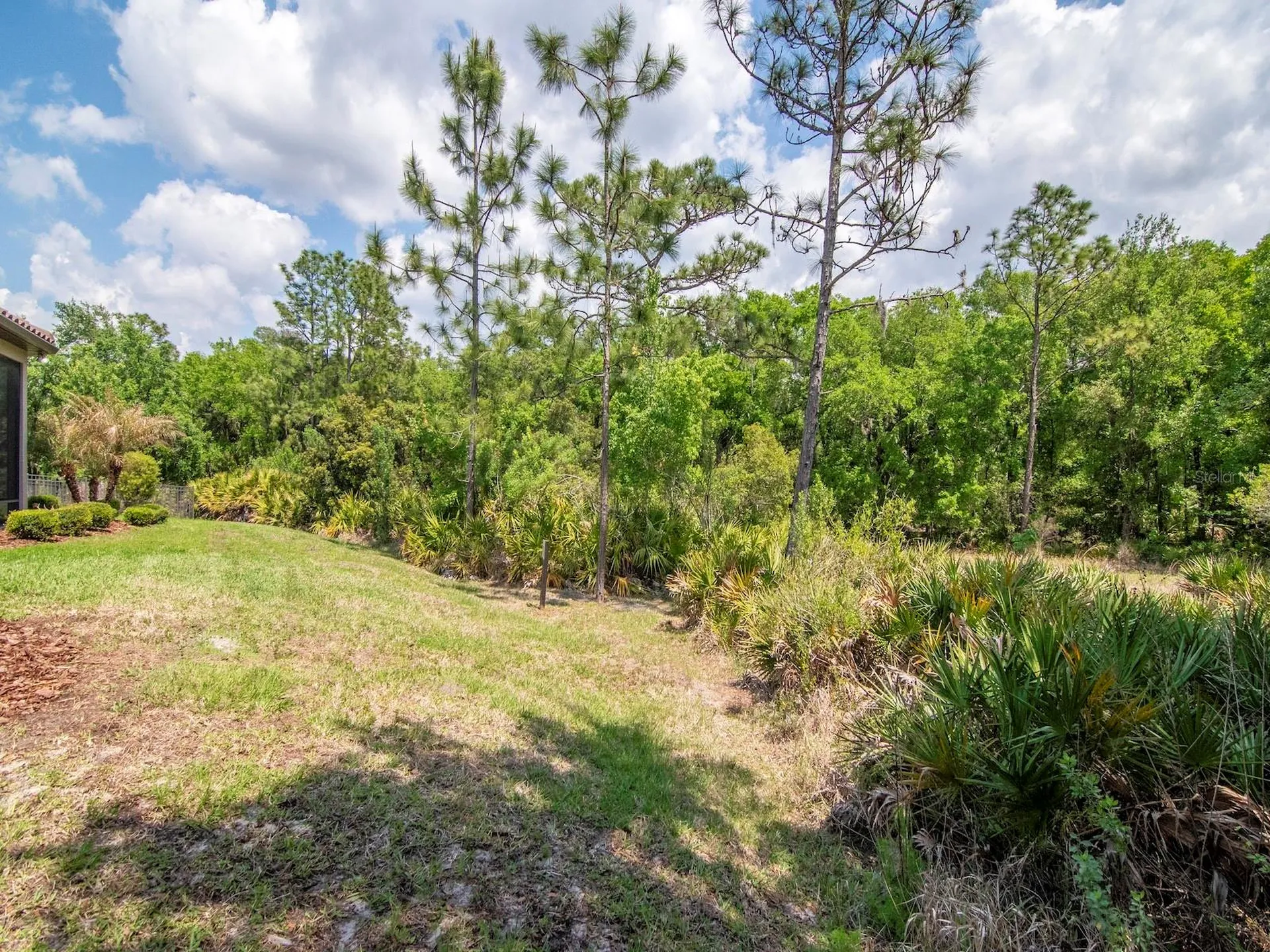 20003 Umbria Hill Drive Tampa FL 33647