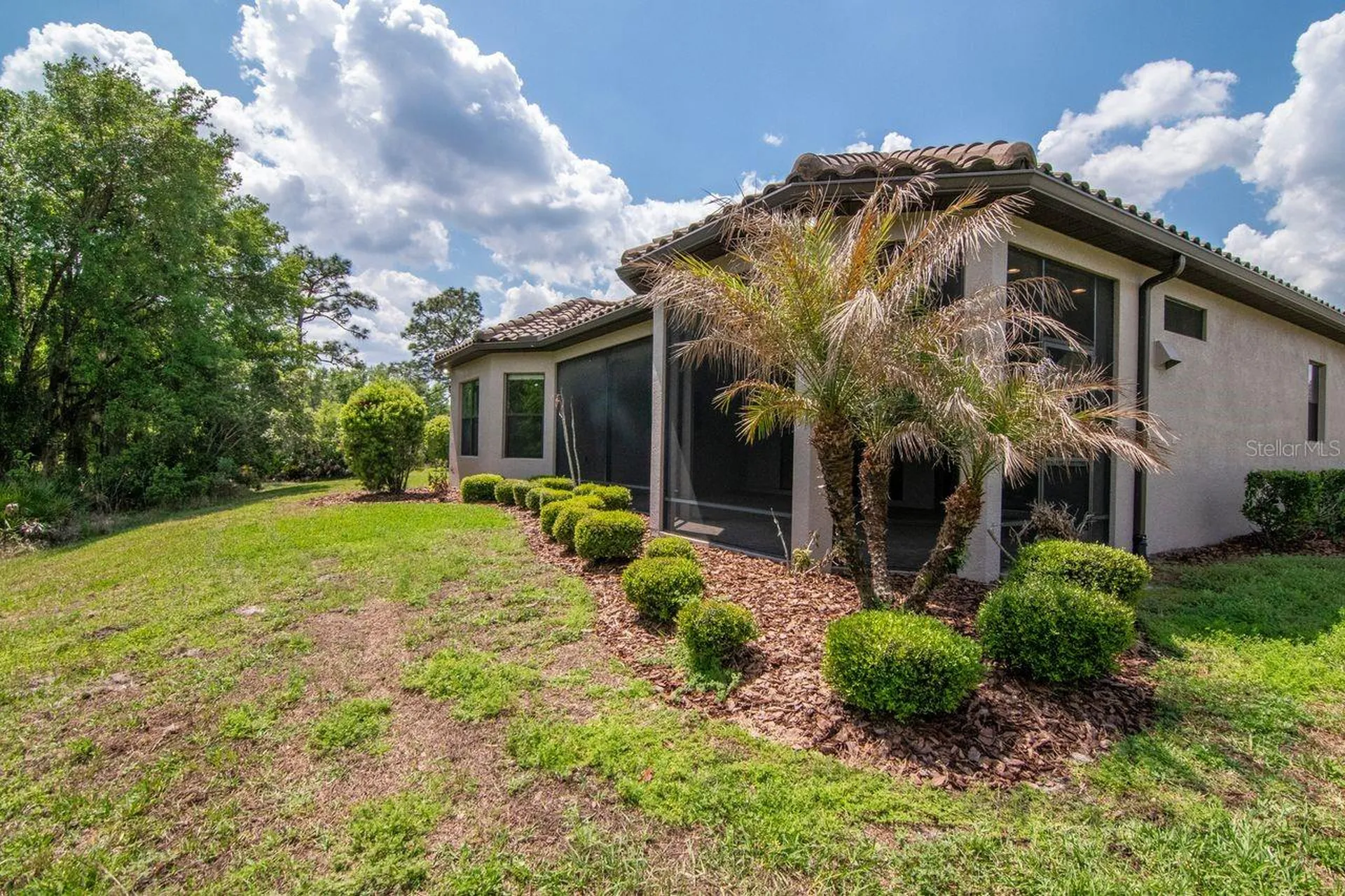 20003 Umbria Hill Drive Tampa FL 33647
