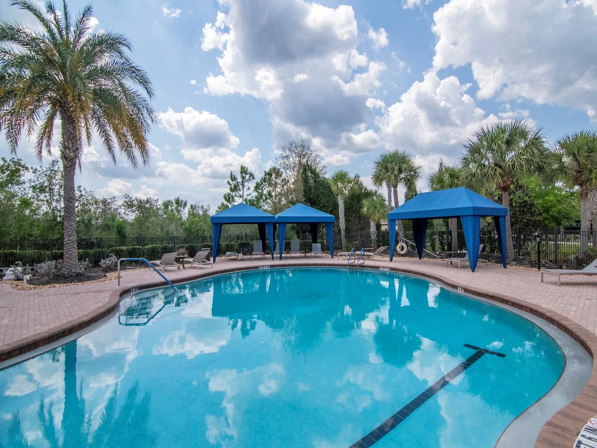 20003 Umbria Hill Drive Tampa FL 33647