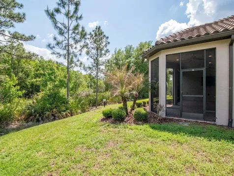 20003 Umbria Hill Drive Tampa FL 33647