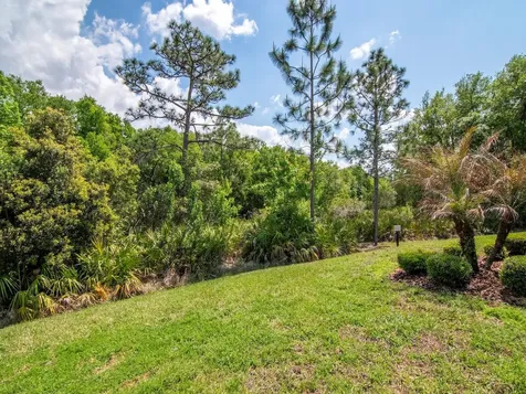 20003 Umbria Hill Drive Tampa FL 33647