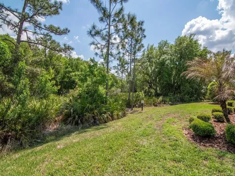 20003 Umbria Hill Drive Tampa FL 33647