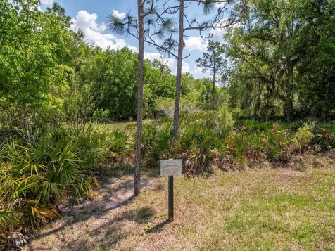 20003 Umbria Hill Drive Tampa FL 33647