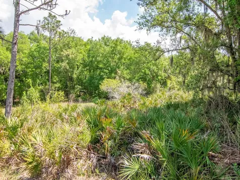 20003 Umbria Hill Drive Tampa FL 33647