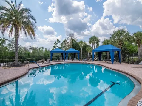 20003 Umbria Hill Drive Tampa FL 33647