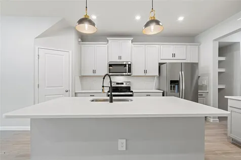 4156 Cloud Hopper Way Lutz FL 33559