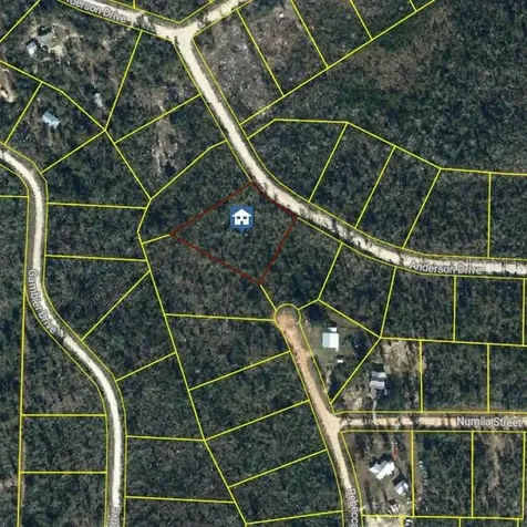 Anderson Drive Alford FL 32420