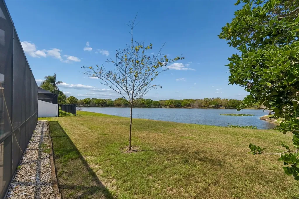 11415 Whispering Hollow Tampa FL 33635
