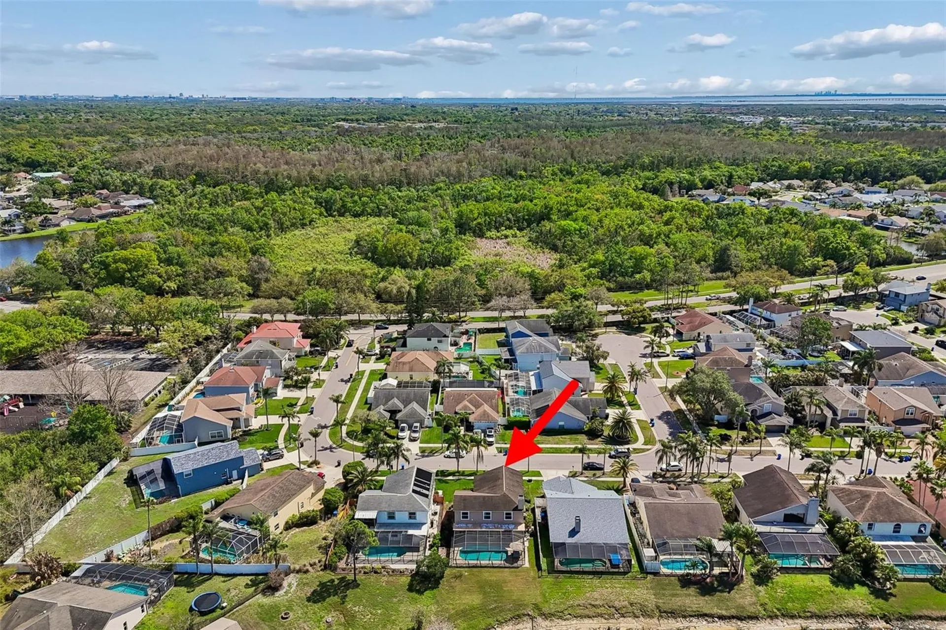 11415 Whispering Hollow Tampa FL 33635