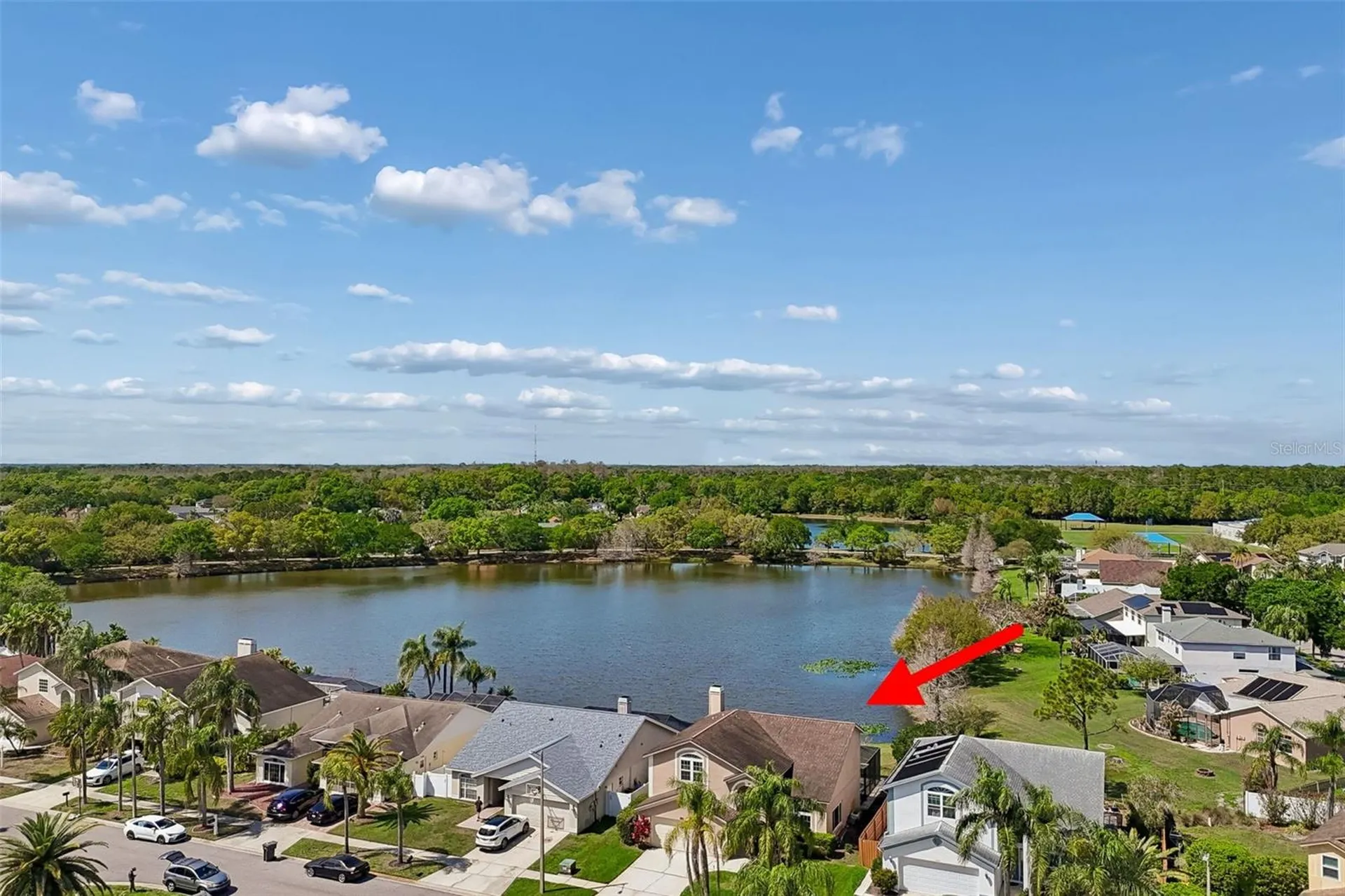 11415 Whispering Hollow Tampa FL 33635