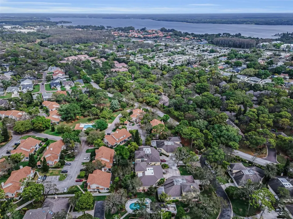 2175 Oak Forest Lane Palm Harbor FL 34683