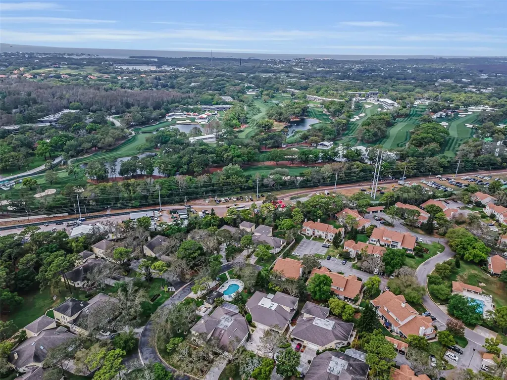 2175 Oak Forest Lane Palm Harbor FL 34683
