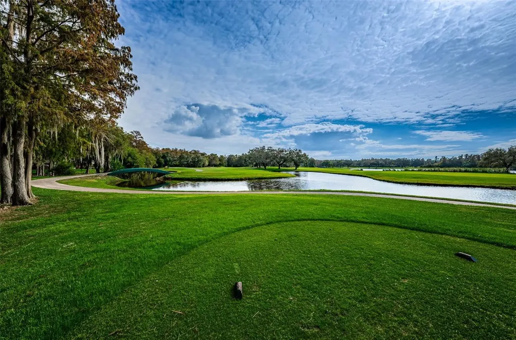 2175 Oak Forest Lane Palm Harbor FL 34683