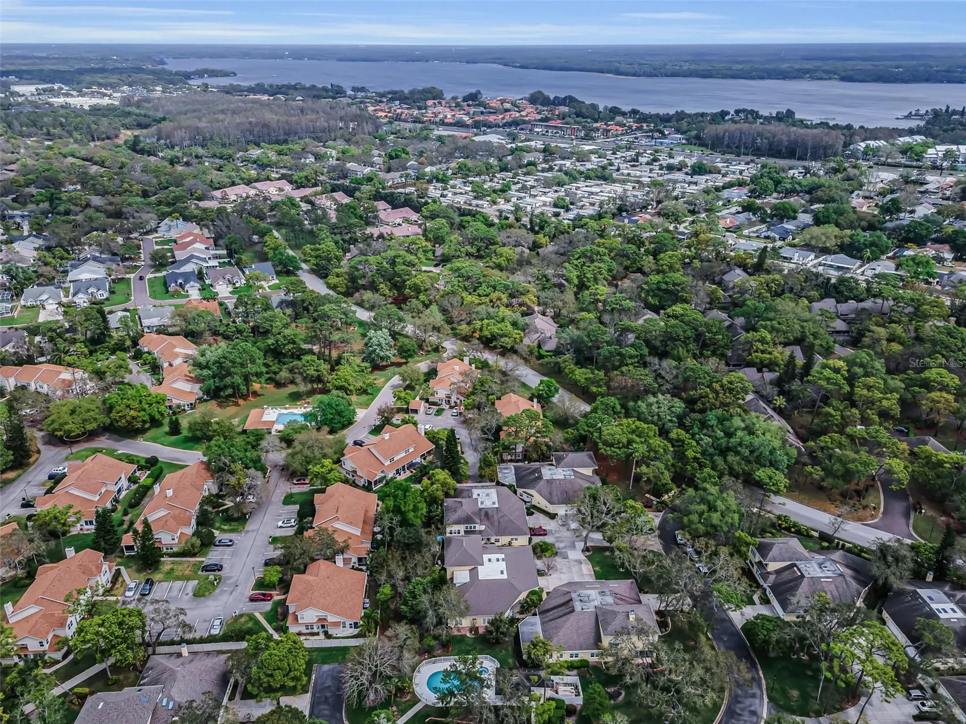 2175 Oak Forest Lane Palm Harbor FL 34683