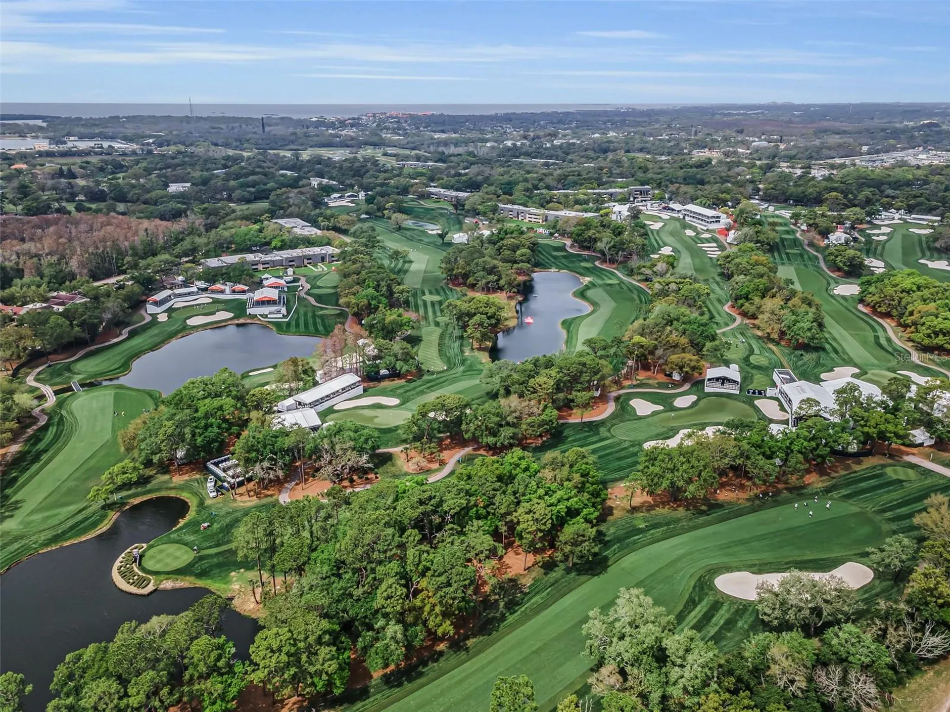2175 Oak Forest Lane Palm Harbor FL 34683