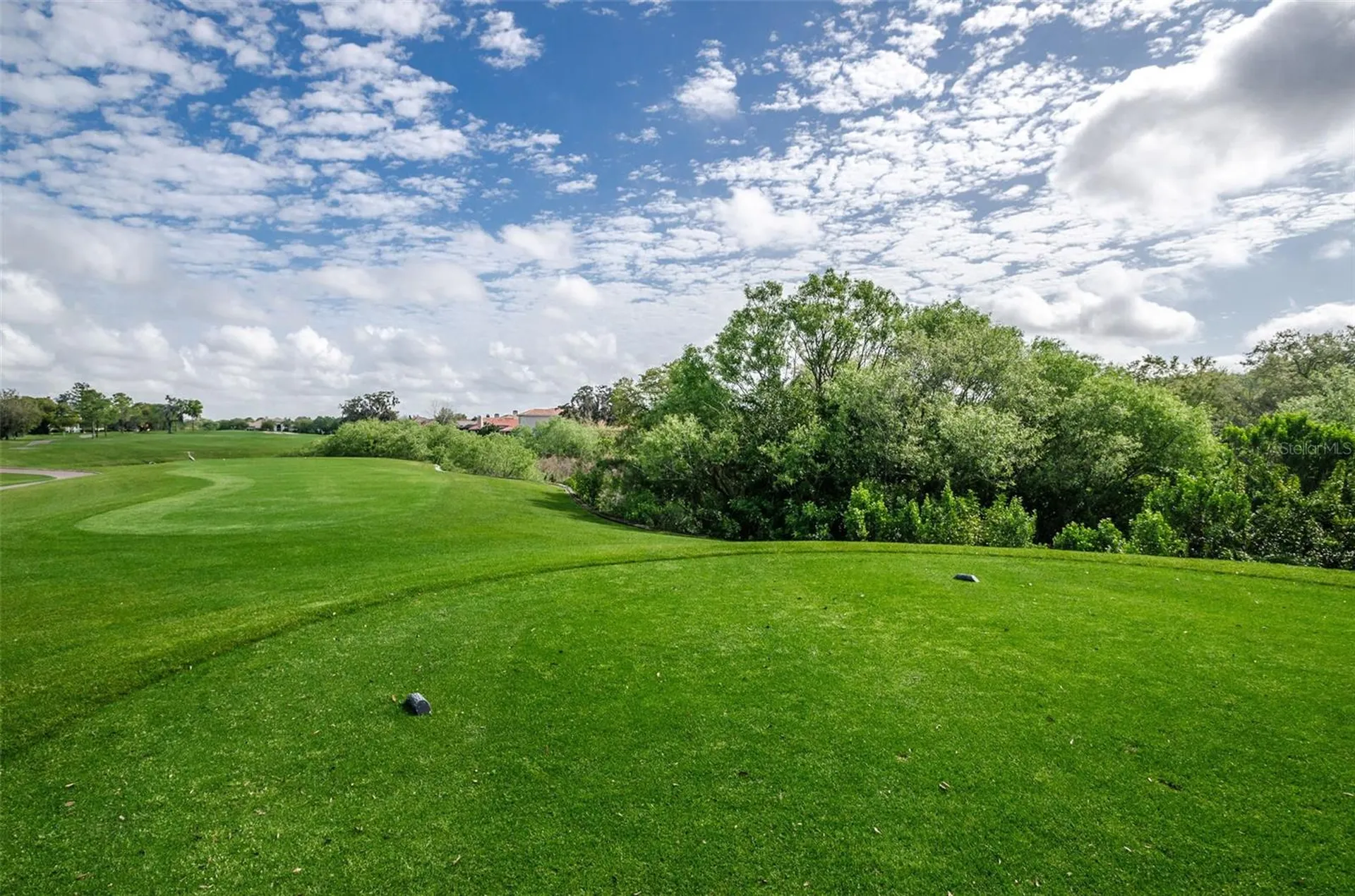 2175 Oak Forest Lane Palm Harbor FL 34683