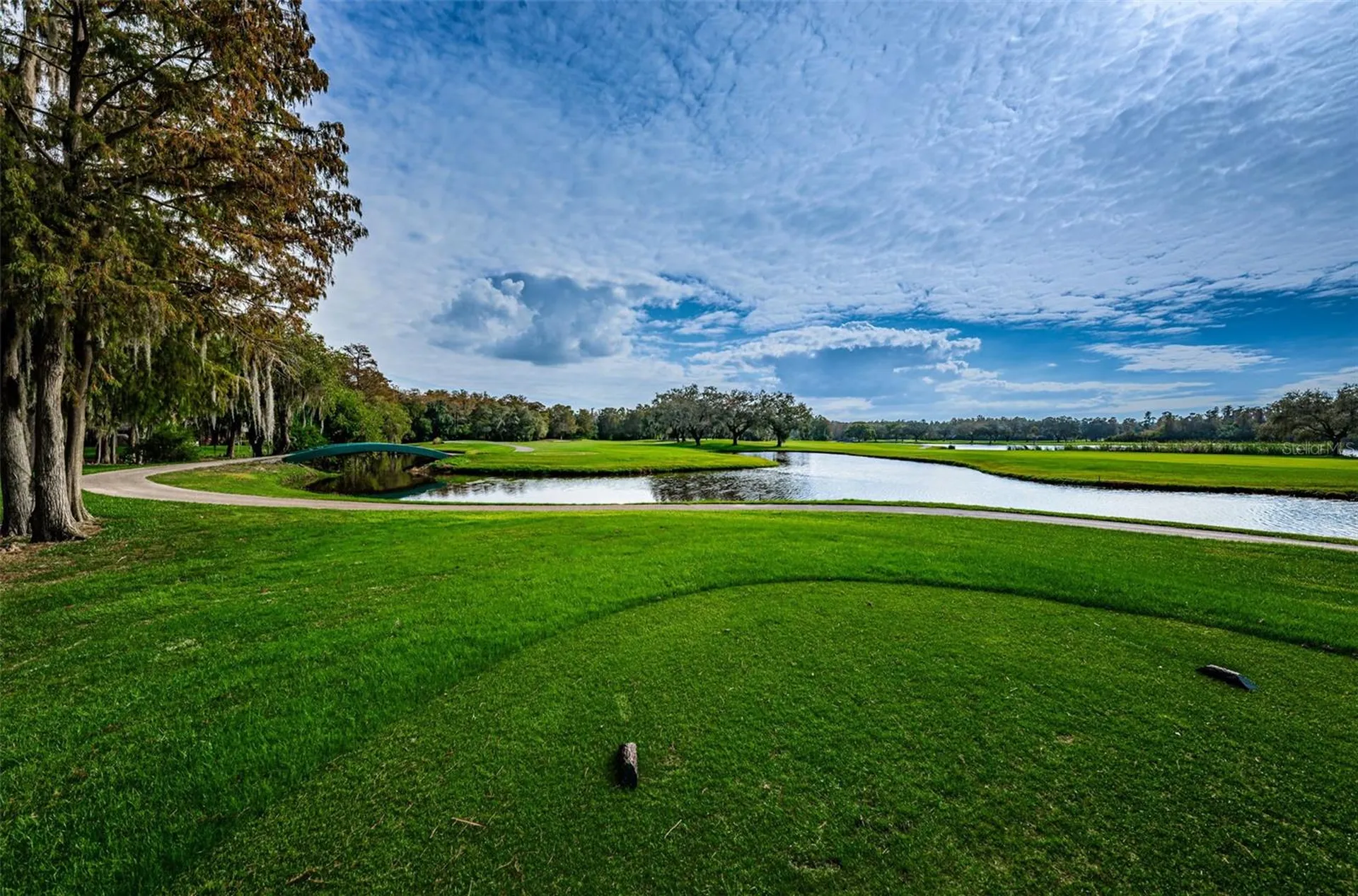 2175 Oak Forest Lane Palm Harbor FL 34683