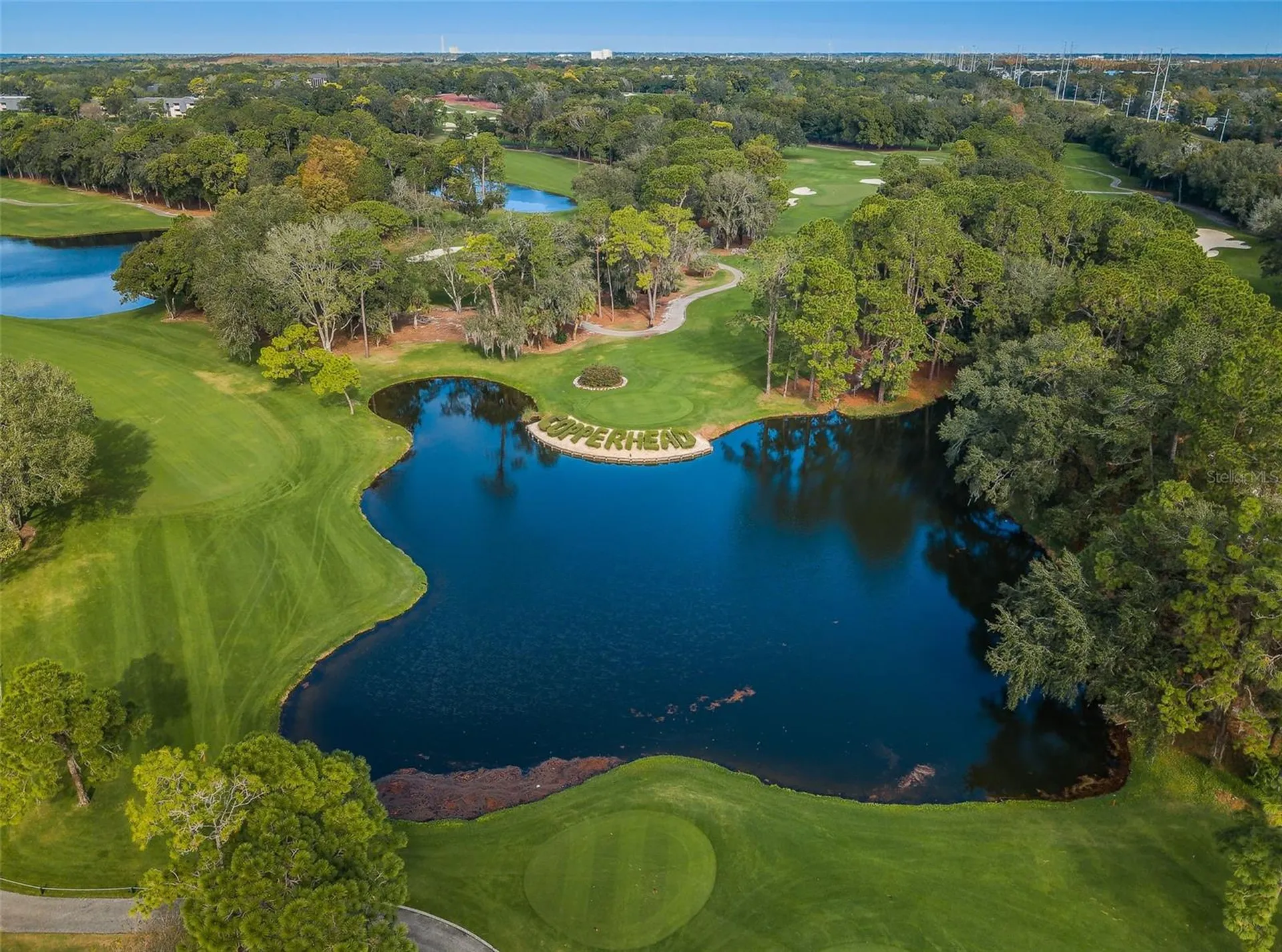 2175 Oak Forest Lane Palm Harbor FL 34683