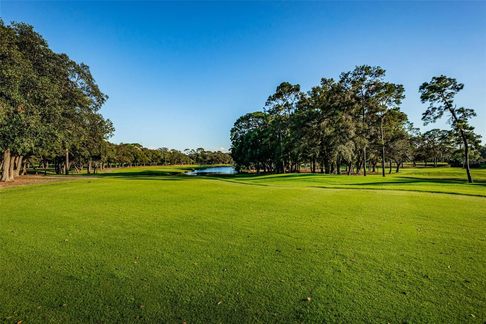 2175 Oak Forest Lane Palm Harbor FL 34683