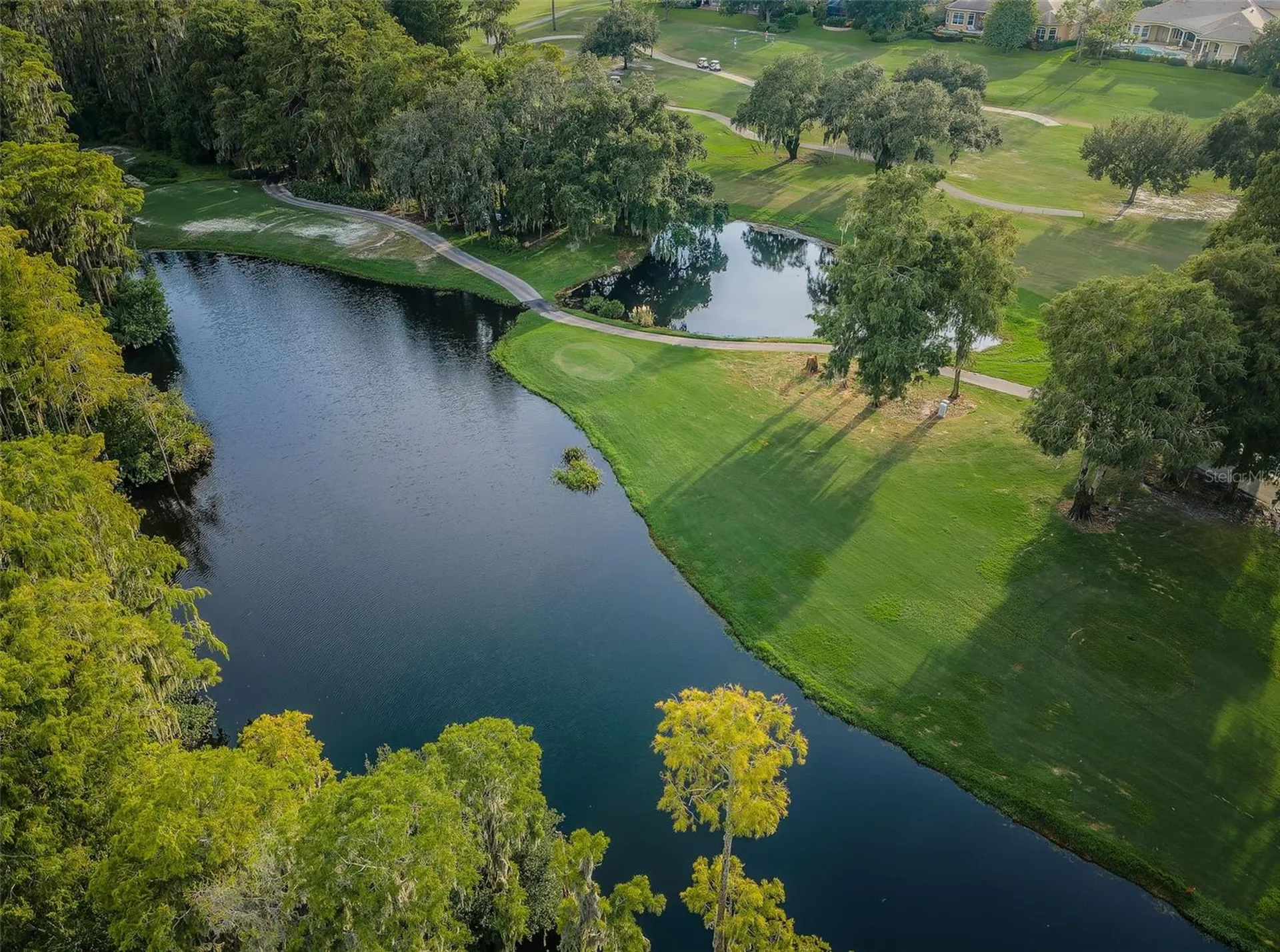 2175 Oak Forest Lane Palm Harbor FL 34683