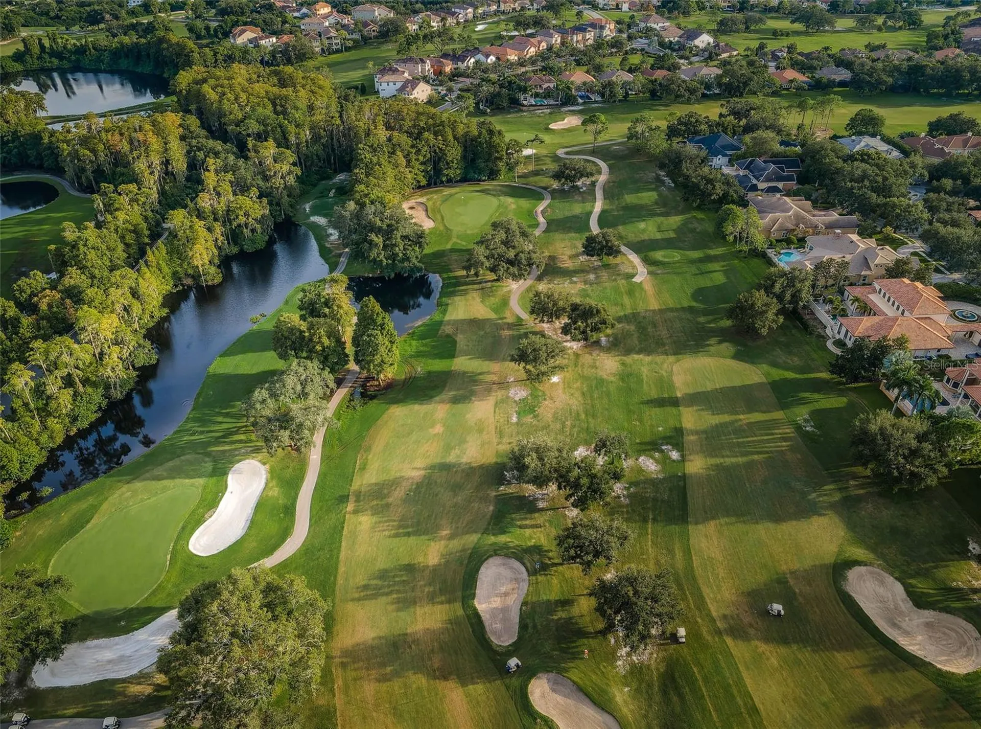 2175 Oak Forest Lane Palm Harbor FL 34683