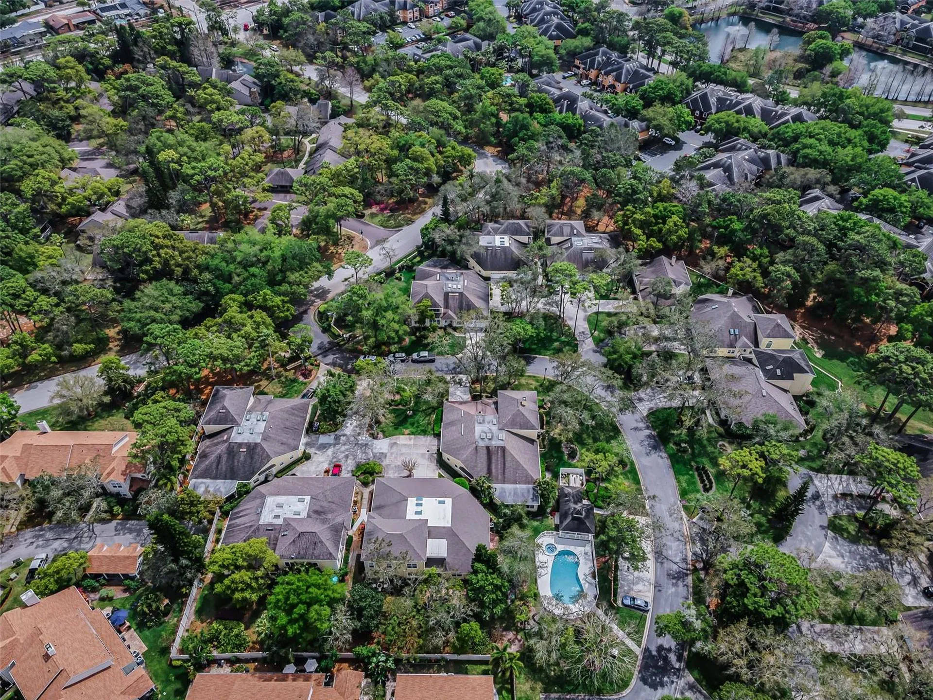 2175 Oak Forest Lane Palm Harbor FL 34683
