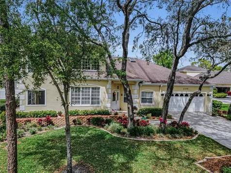 2175 Oak Forest Lane Palm Harbor FL 34683