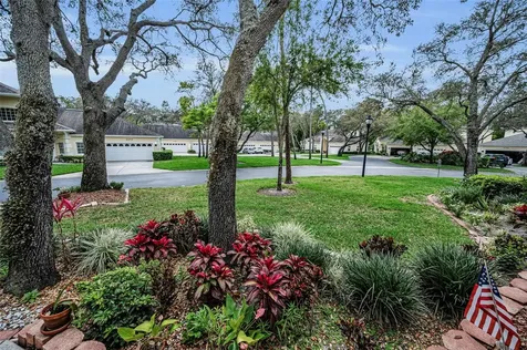2175 Oak Forest Lane Palm Harbor FL 34683