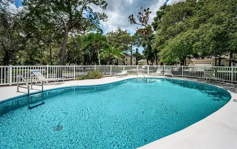 2175 Oak Forest Lane Palm Harbor FL 34683
