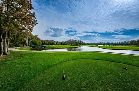 2175 Oak Forest Lane Palm Harbor FL 34683