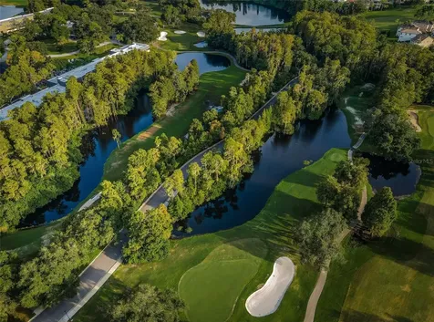 2175 Oak Forest Lane Palm Harbor FL 34683