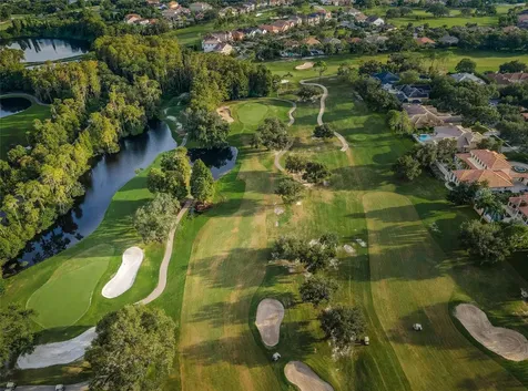 2175 Oak Forest Lane Palm Harbor FL 34683