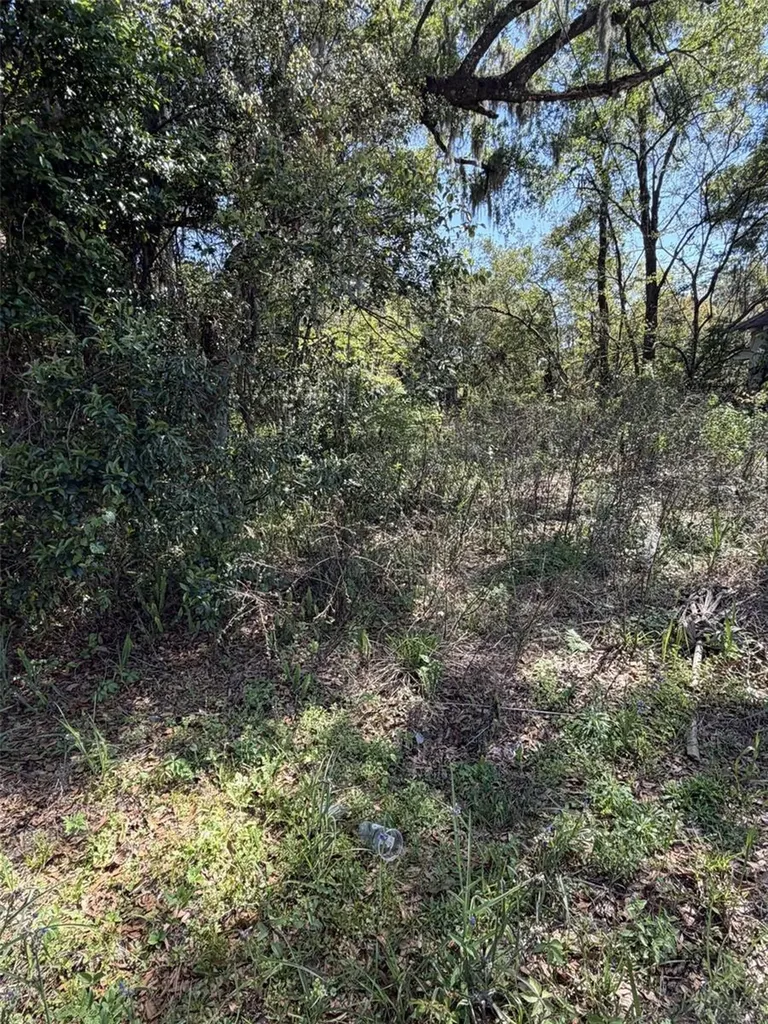 110 E Mercers Fernery Road Deland FL 32724