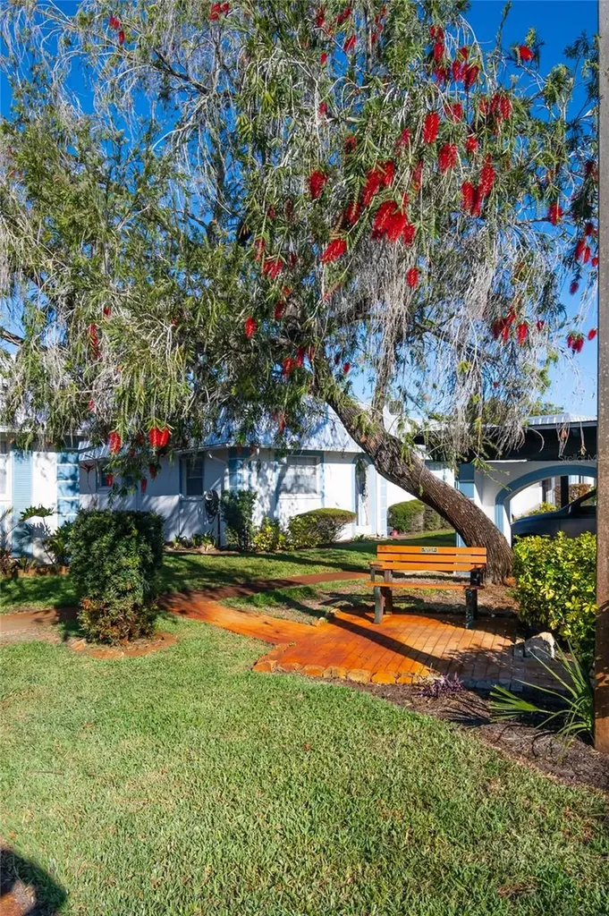 4209 Tamargo Drive New Port Richey FL 34652