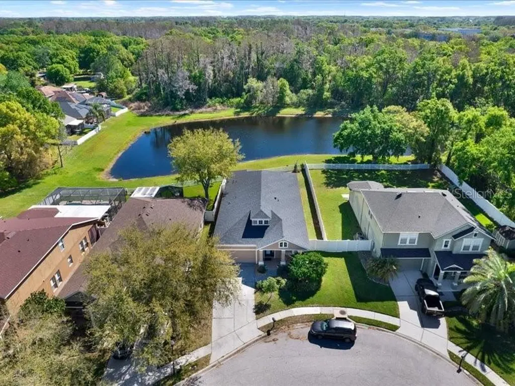 13305 Tiger Lilly Lane Tampa FL 33625
