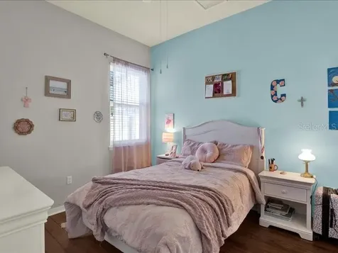 13305 Tiger Lilly Lane Tampa FL 33625