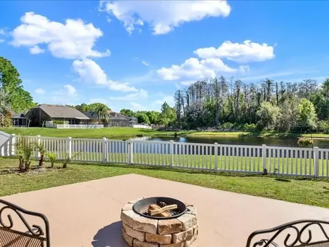 13305 Tiger Lilly Lane Tampa FL 33625