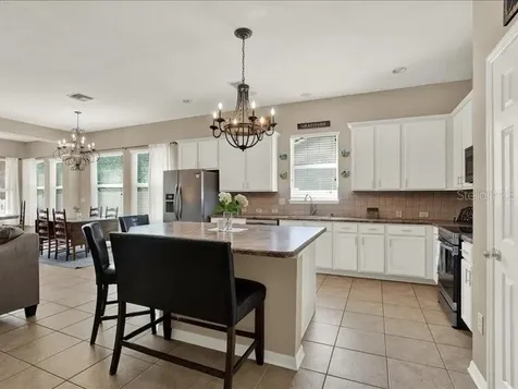 13305 Tiger Lilly Lane Tampa FL 33625