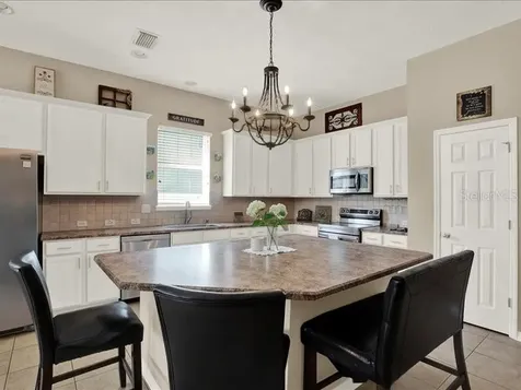 13305 Tiger Lilly Lane Tampa FL 33625