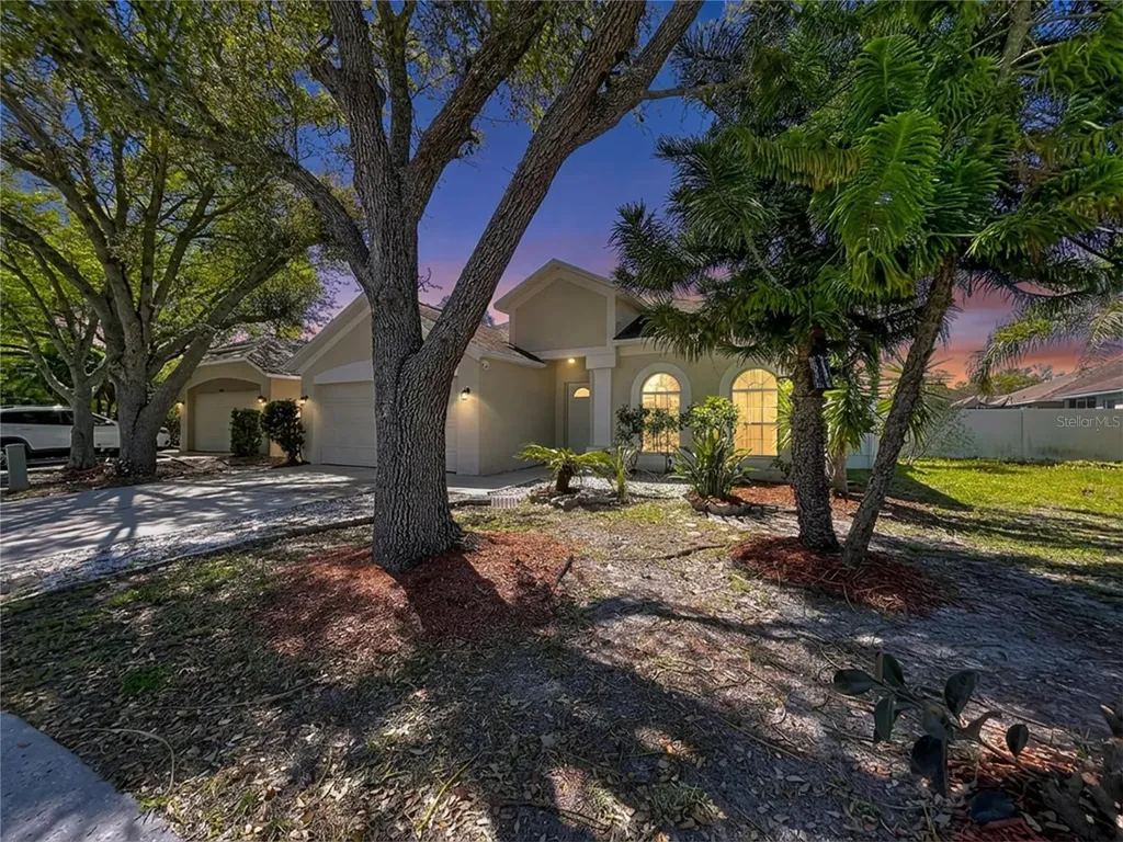 10310 Birdwatch Drive Tampa FL 33647