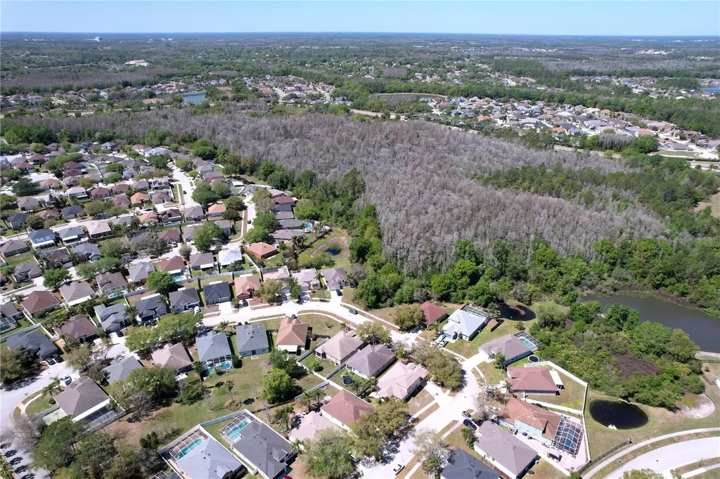 10310 Birdwatch Drive Tampa FL 33647