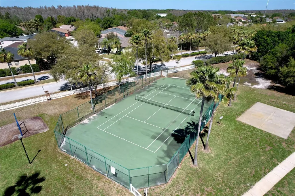 10310 Birdwatch Drive Tampa FL 33647