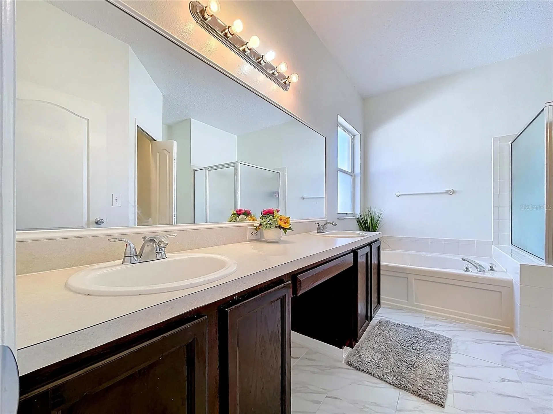 10310 Birdwatch Drive Tampa FL 33647