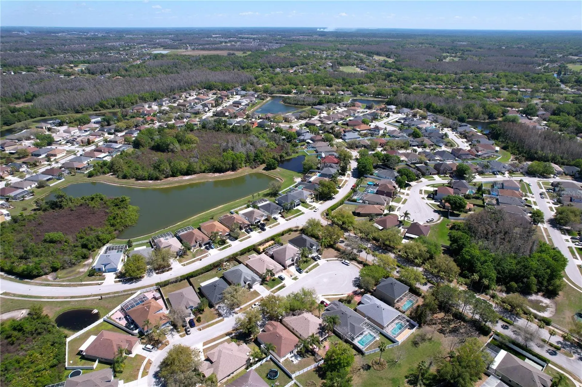 10310 Birdwatch Drive Tampa FL 33647