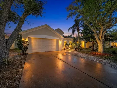 10310 Birdwatch Drive Tampa FL 33647
