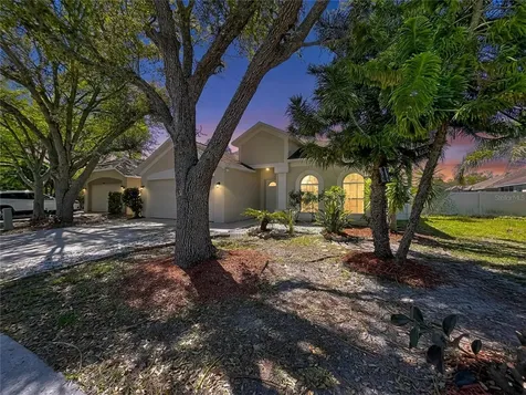10310 Birdwatch Drive Tampa FL 33647
