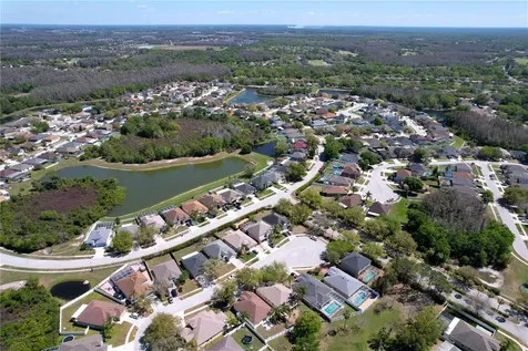 10310 Birdwatch Drive Tampa FL 33647