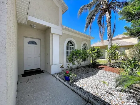 10310 Birdwatch Drive Tampa FL 33647